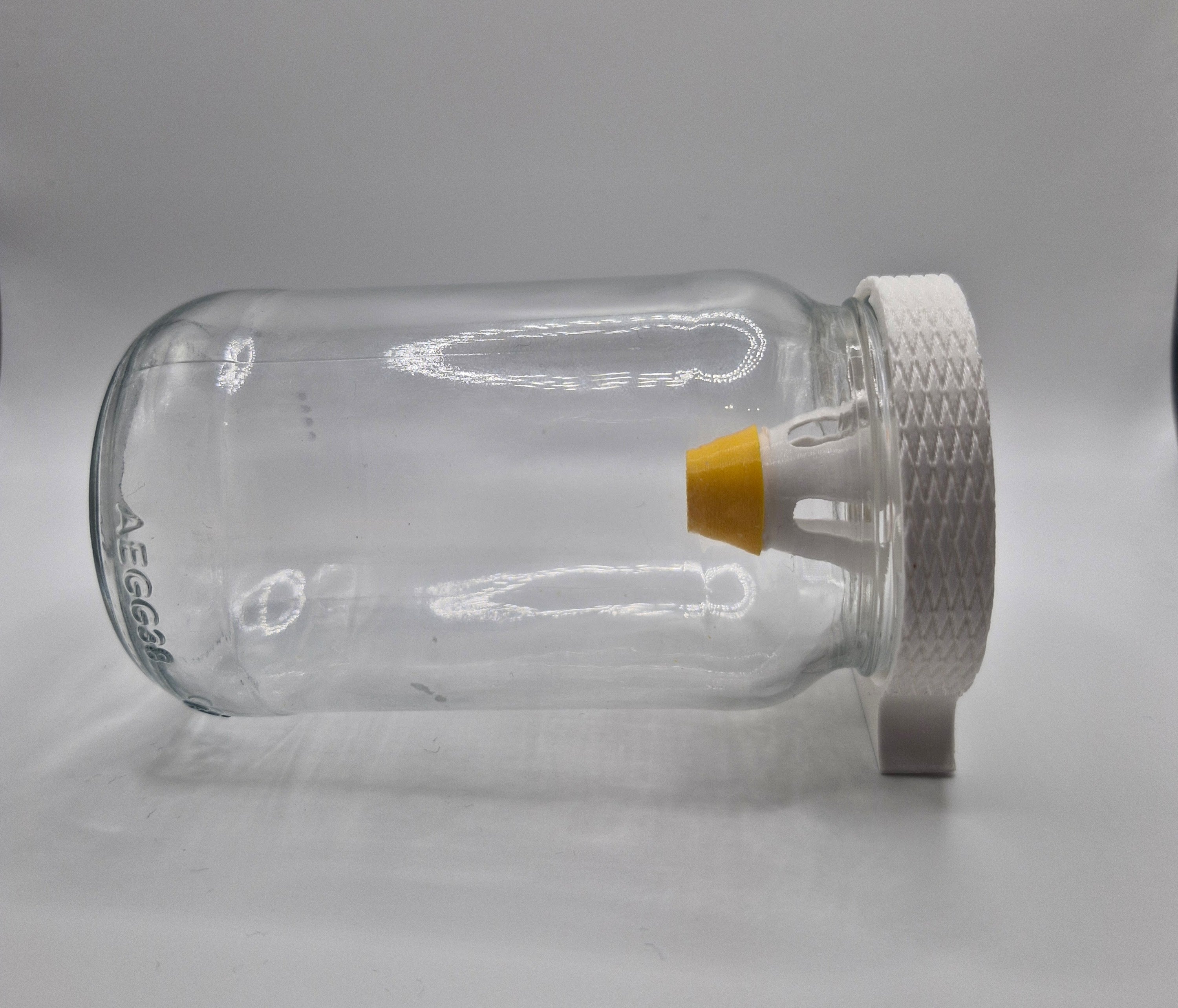 Jar Asian Hornet trap (workers and Queen trap), works with any jar lid size 73mm