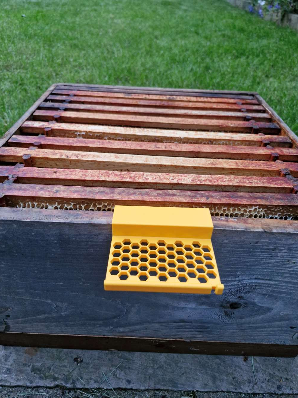 Bee Shelf, Tool Support Holder for BeeKeeping