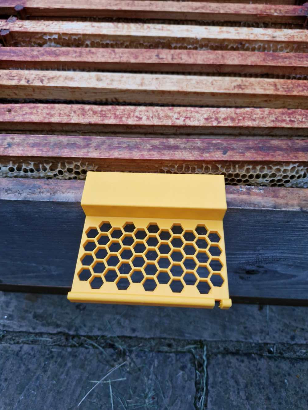Bee Shelf, Tool Support Holder for BeeKeeping