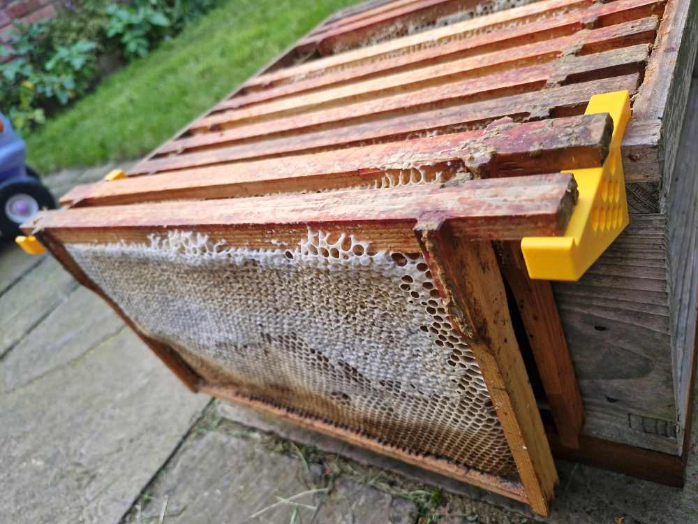 Bee Frame Support Holder Beekeeping (Holds 2 Frames) comes as a pair