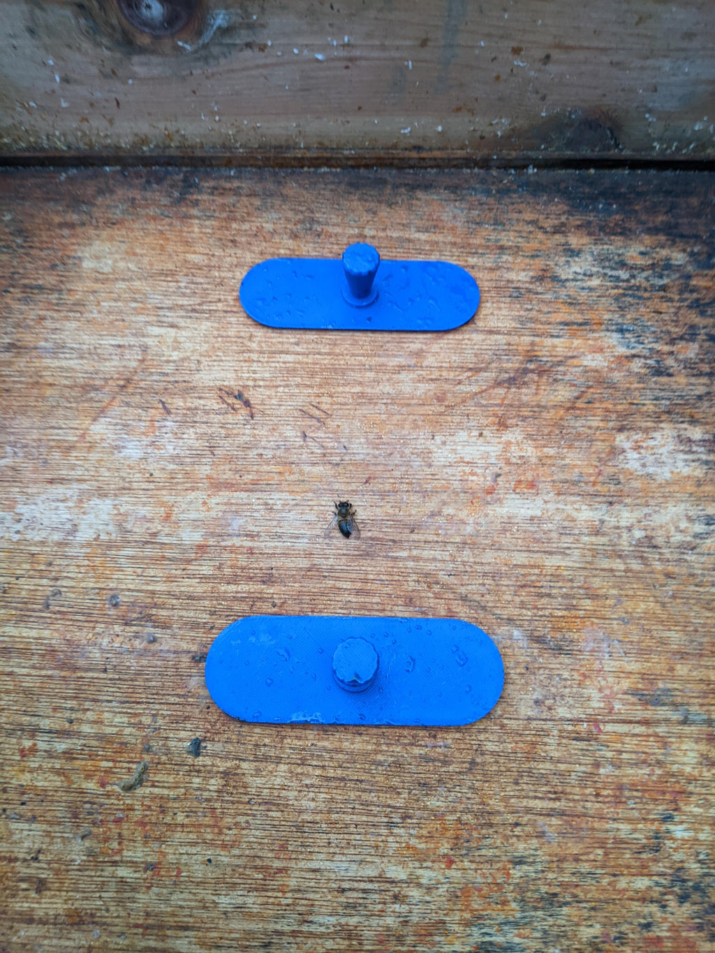 Crown Board Plugs - (Pair)