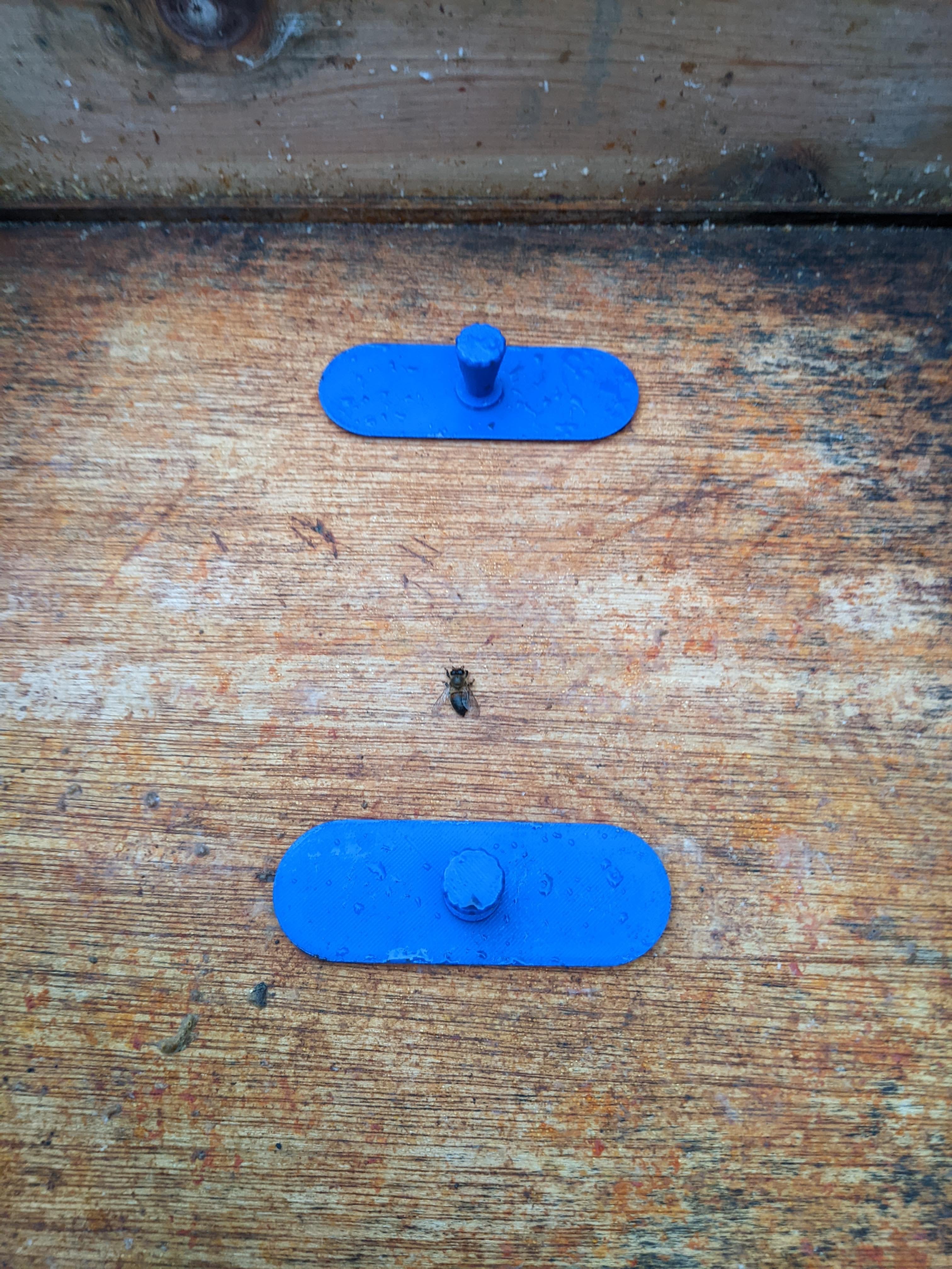 Crown Board Plugs - (Pair)